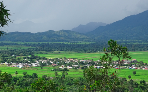 A scenic view of a small village surrounded by vibrant green rice fields, with mountains in the backdrop under a cloudy sky.
