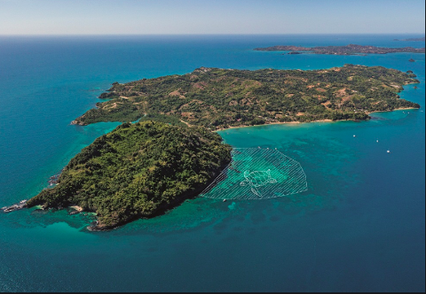 Aerial view of a tropical island, with lush green vegetation, surrounded by turquoise waters, featuring a drawing of a turtle in the water.