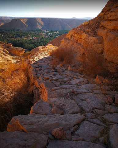 A stone path winding through a desert landscape leads towards a lush oasis town nestled between rugged mountains under a bright sky.