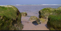 Rochas cobertas de musgo em uma praia arenosa levam a um oceano calmo, criando um cenário costeiro sereno.