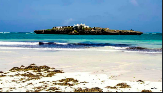 Somalia - Mogadishu Area Country-Counter Tour ("You've Been to Somalia") - Express Trip Economy