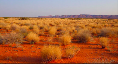 Garowe to Galkayo and the Red Desert of Puntland Somalia