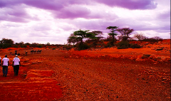 Garowe to Galkayo and the Red Desert of Puntland Somalia