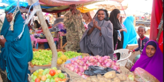 Garowe to Galkayo and the Red Desert of Puntland Somalia