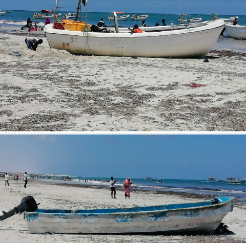 Imaginea prezintă două scene diferite ale unei plaje cu bărci pe nisip. Scena de sus prezintă o barcă mare și albă cu oameni, iar scena de jos prezintă o barcă albastră cu motor și oameni care se plimbă pe plajă.
