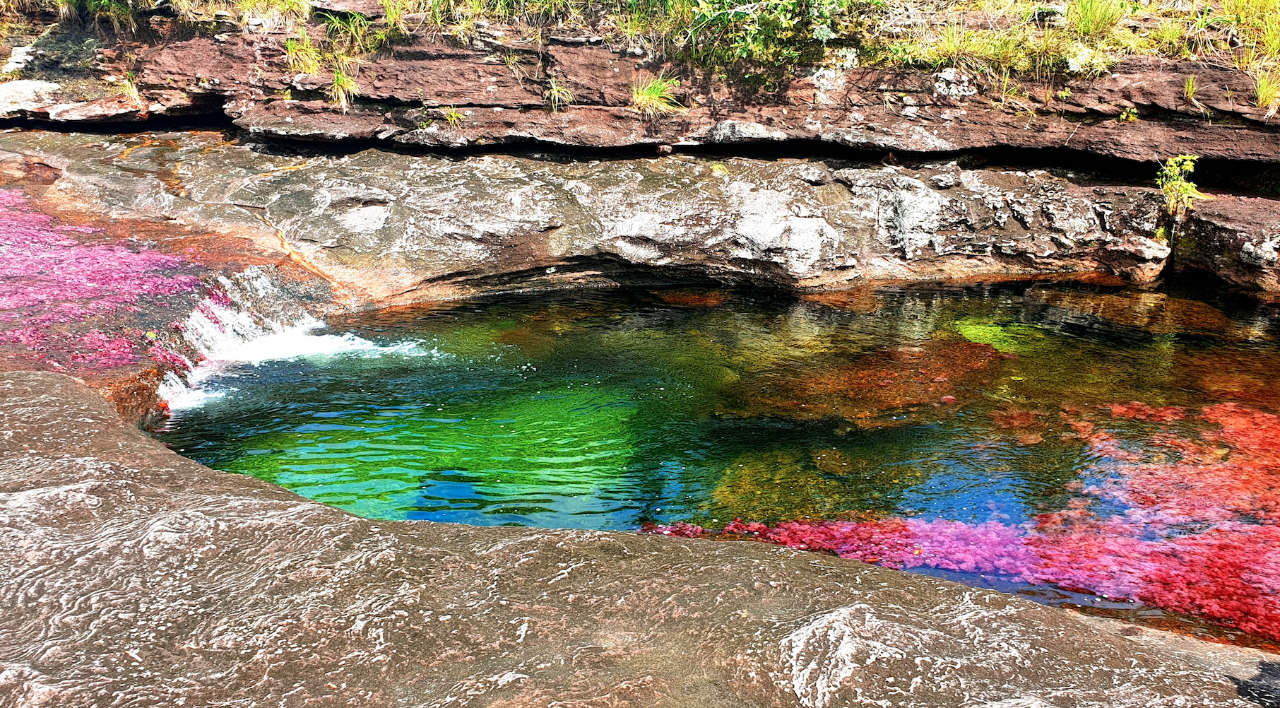 Caño Cristales 3 Day Tour