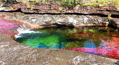 Caño Cristales 3 Day Tour A vibrant river flows over colorful rocks, with a small waterfall and lush greenery lining the banks.