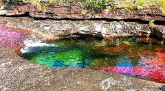 Caño Cristales 3 Day Tour A vibrant river flows over colorful rocks, with a small waterfall and lush greenery lining the banks.