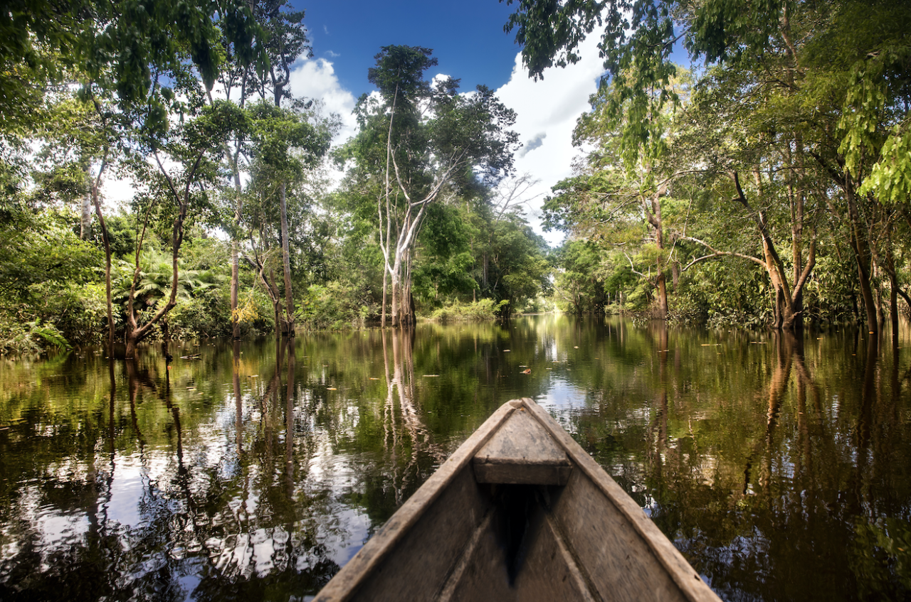 The All Mighty Amazon River - 4 Days