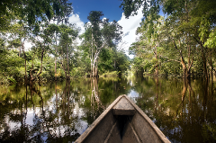 The All Mighty Amazon River - 4 Days A wooden boat navigates a tranquil river lined with lush green trees, their reflections creating a mirrored effect in the water, under a partially cloudy sky.