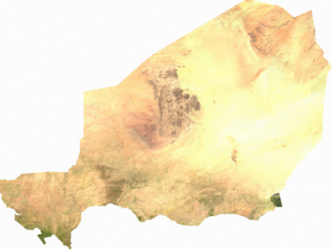 This is a satellite image of Niger, showing its varied terrain from desert in the north to greener areas in the south.