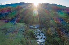 A bright sun shines over a lush green landscape, illuminating a stream, trees, and a group of people camping on a grassy hill.