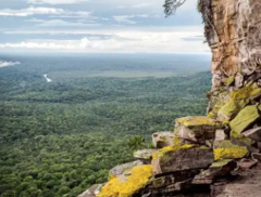A panoramic view from a rocky cliff overlooks a vast, dense green forest stretching to the horizon under a cloudy sky.