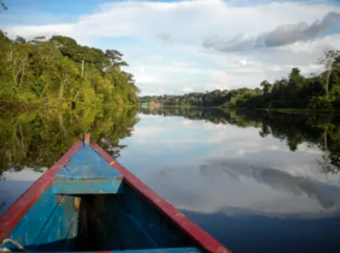 A boat glides on a river lined with lush green trees, reflecting the blue sky and clouds.