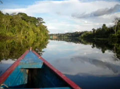 A boat glides on a river lined with lush green trees, reflecting the blue sky and clouds.