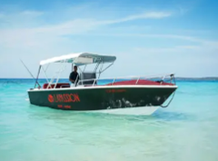 In The Heart Of The Caribbean A fishing boat with a canopy, a man standing in the boat, and fishing rods is on clear blue water with a visible shoreline.