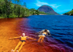 The Remote Hills Of Mavecure Two people swim in a river that's colored differently on each side, one swimming in orange water and the other swimming in dark blue water, with green trees and a mountain in the background.