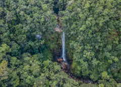 Aerial view of a lush green forest with a tall, narrow waterfall cascading down a rocky cliff in the center.