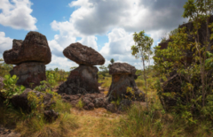 This image captures a surreal landscape with mushroom-shaped rock formations standing tall amidst a field of grasses under a partly cloudy sky.