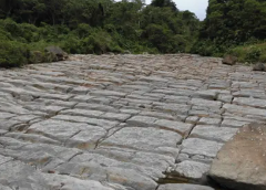 A landscape featuring a large, flat rock formation with geometric patterns, possibly the result of erosion or geological processes, set against a backdrop of lush green trees.