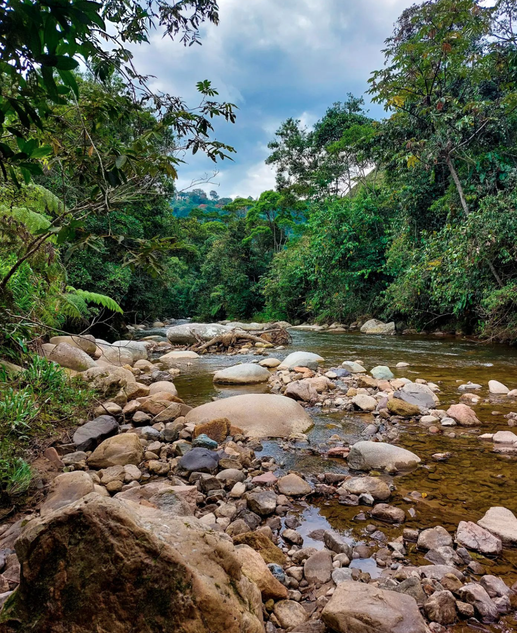 National Parks and Reserve from San Agustin - 4 Days