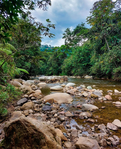A serene river flows through a lush, rocky landscape, surrounded by vibrant green vegetation under a cloudy sky.