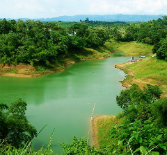 A scenic view of a vibrant green lake surrounded by lush forests and rolling hills under a partly cloudy sky.