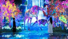12-Day Guided Cultural Trip to Kyushu