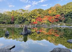 12-Day Guided Cultural Trip to Kyushu