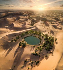 An aerial view of a desert oasis with a pool surrounded by green trees and sand dunes under a bright sky.