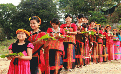 A line of women in traditional vibrant red and black clothing adorned with flowers walk forward carrying green leaves.