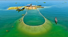 Aerial view of fishermen dragging a large net from an island towards a rowboat in a body of water.