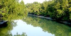 A serene river flows through a dense green forest, reflecting the trees in its calm surface.