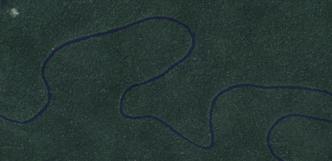An aerial view shows a winding dark blue river flowing through a dense green jungle.