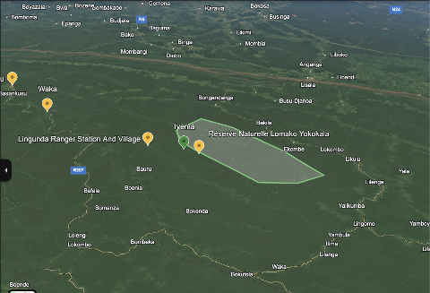 This satellite view shows a vast jungle landscape in DR Congo, highlighting the Lomako Yokokala Nature Reserve and surrounding villages like Lingunda Ranger Station.