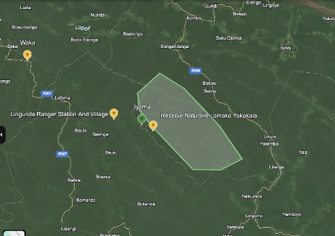 A satellite view of the Lomako Yokokala Nature Reserve in DR Congo shows the Lingunda Ranger Station and various villages, with a highlighted green area indicating the reserve.