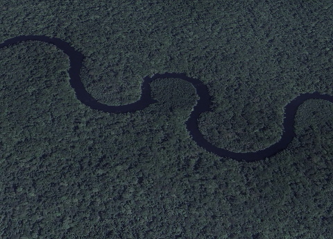An aerial view shows a dark, winding river snaking through a dense, dark green jungle.