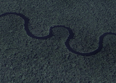 An aerial view shows a dark, winding river snaking through a dense, dark green jungle.