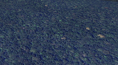 An aerial view shows a vast expanse of dense jungle canopy in the Democratic Republic of Congo, with varying shades of green and some patches of lighter, drier foliage.