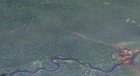 An aerial view shows a meandering river flowing through a dense, dark green jungle with some lighter patches of vegetation.