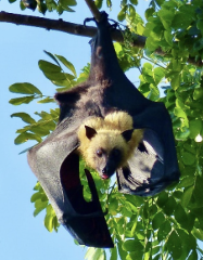 Mayotte Nature & Culture Tour