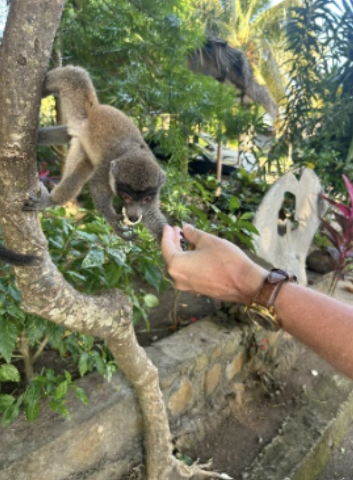 Mayotte Nature & Culture Tour Mayotte Nature & Culture Tour