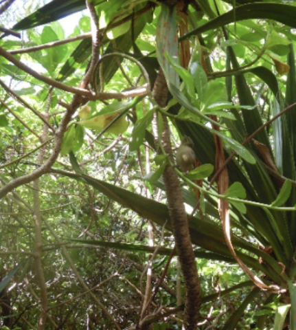 Mayotte Nature & Culture Tour Mayotte Nature & Culture Tour