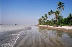 This is a scenic view of a tropical beach, with the ocean waves lapping onto the shore, palm trees lining the coastline, and a clear blue sky above.