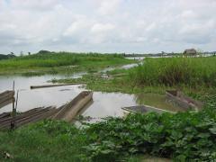 The photo shows a landscape of a marshy river area with traditional dugout canoes in the foreground, framed by lush green vegetation and an overcast sky, with hints of structures in the distance.