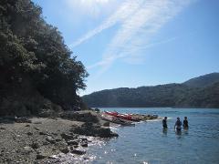 A group of kayakers enjoy a sunny day at a rocky beach with clear blue water, surrounded by green hills.