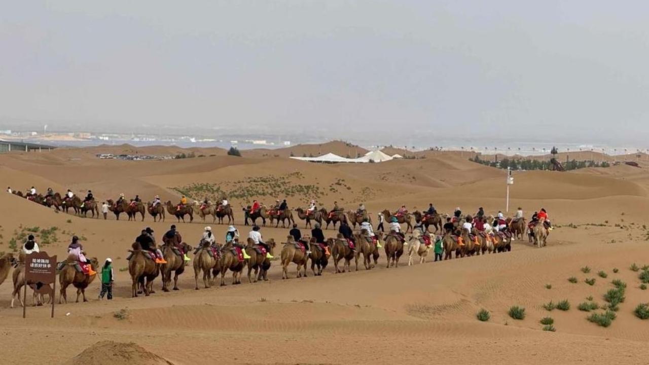 1-Day Zhongwei Adventure: Yellow River Rafting, Desert Safari & Route 66