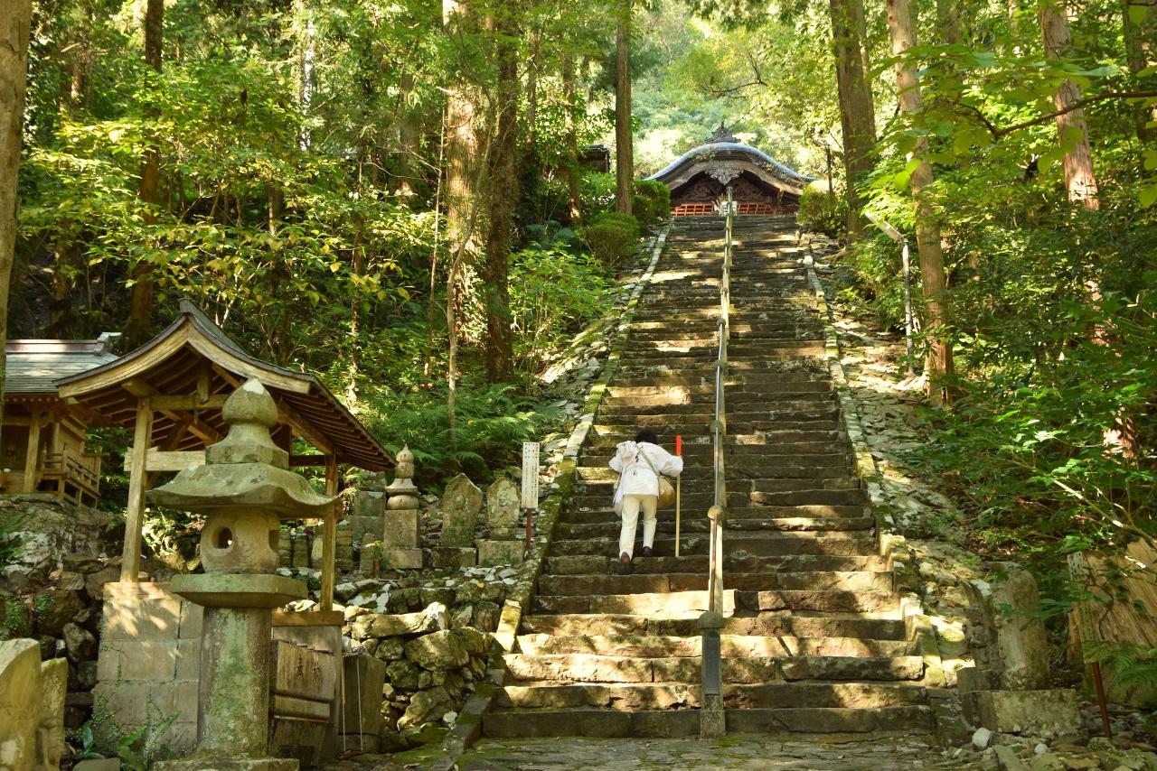 7-Day Ultimate Shikoku Pilgrimage Cultural Heritage Tour