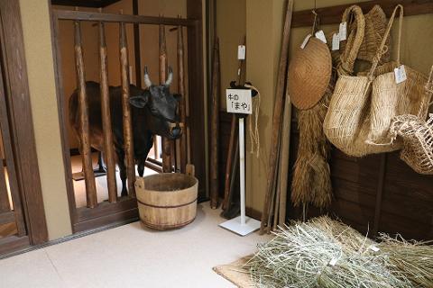 Kyoto Wagyu Experience – Tajima & Kobe Beef Heritage Private Tour Kyoto Wagyu Experience – Tajima & Kobe Beef Heritage Private Tour