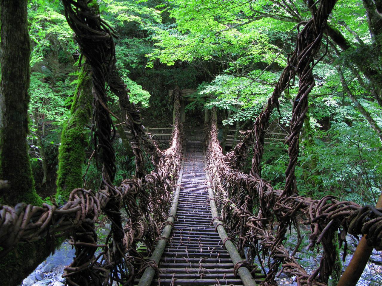 5-Day Highlights of Shikoku Sightseeing Tour